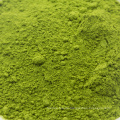 2018 Neue Bio Matcha Green Tea Bags